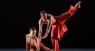 Alvin Ailey Announces Performances at New York City Center - World Premiere, Odetta Tribute, Holiday Shows and More!