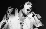 Elvis