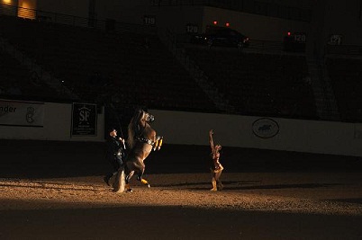 Spanish_Horse_2010_094E