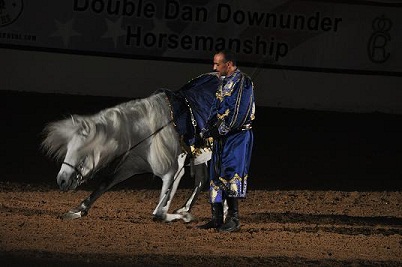 Spanish_Horse_2010_102E